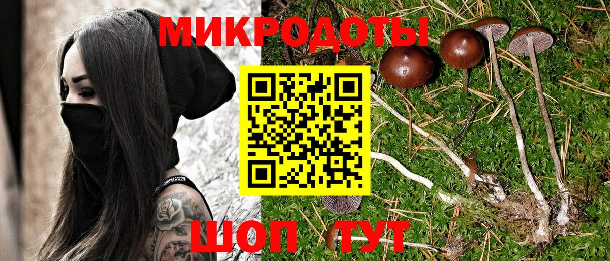 Псилоцибиновые грибы мухоморы Костомукша