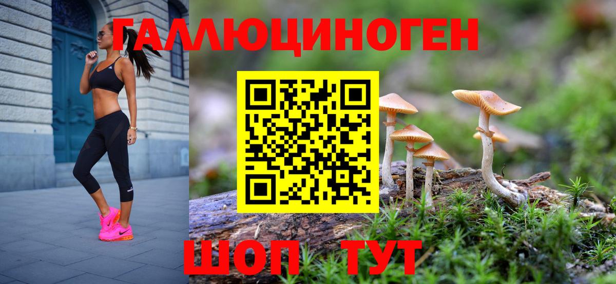 Костомукша  Псилоцибиновые грибы GOLDEN TEACHER  Вход с VPN 